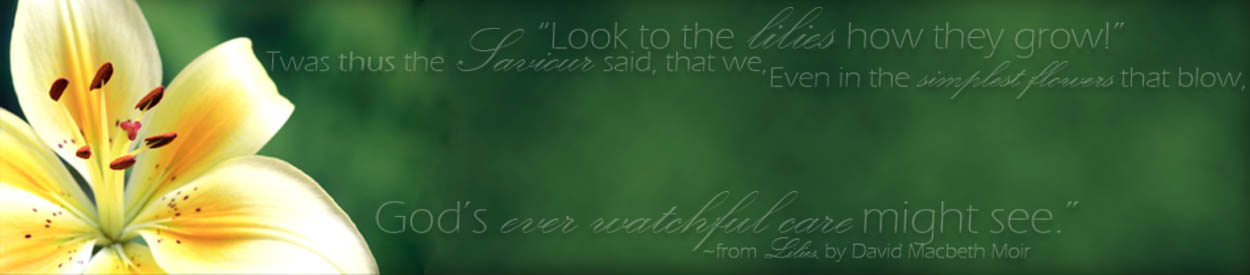 Untitled Header Image